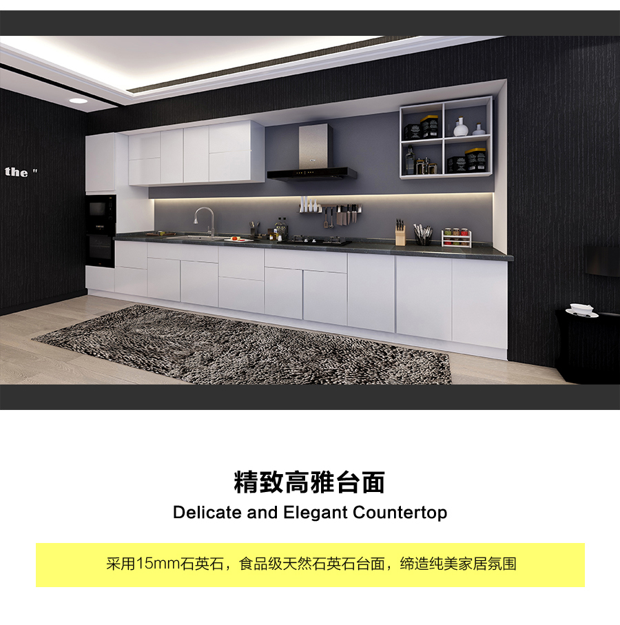 星空梵高定制櫥柜 現(xiàn)代簡約整體定制櫥柜 石英石臺面定制櫥柜 雙飾面-顆?？酒?10定制櫥柜